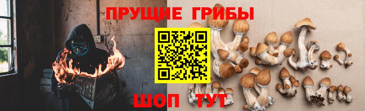 Галлюциногенные грибы MAGIC MUSHROOMS  Галлюциногенные грибы Cubensis  Вход с VPN  Моздок 